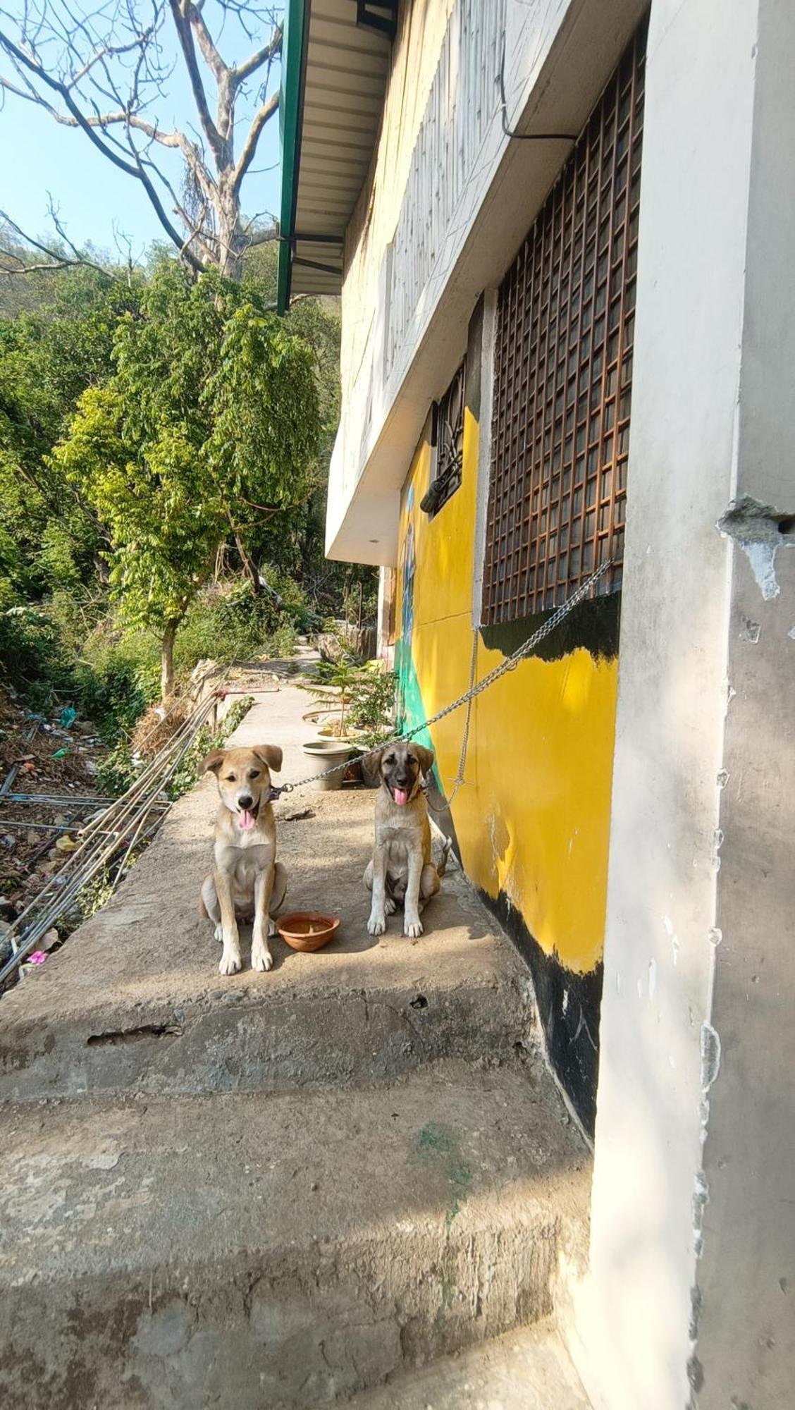 Blabla House Rishikesh Hostel Luaran gambar